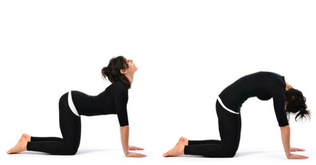 Marjaryasana and Bitilasana (Cat and Cow pose)