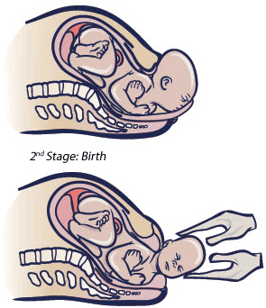 week36